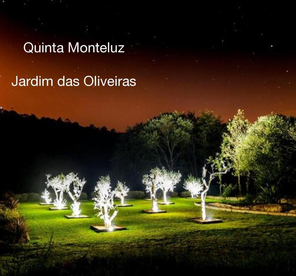 דירות ויסאו Quinta Monteluz מראה חיצוני תמונה