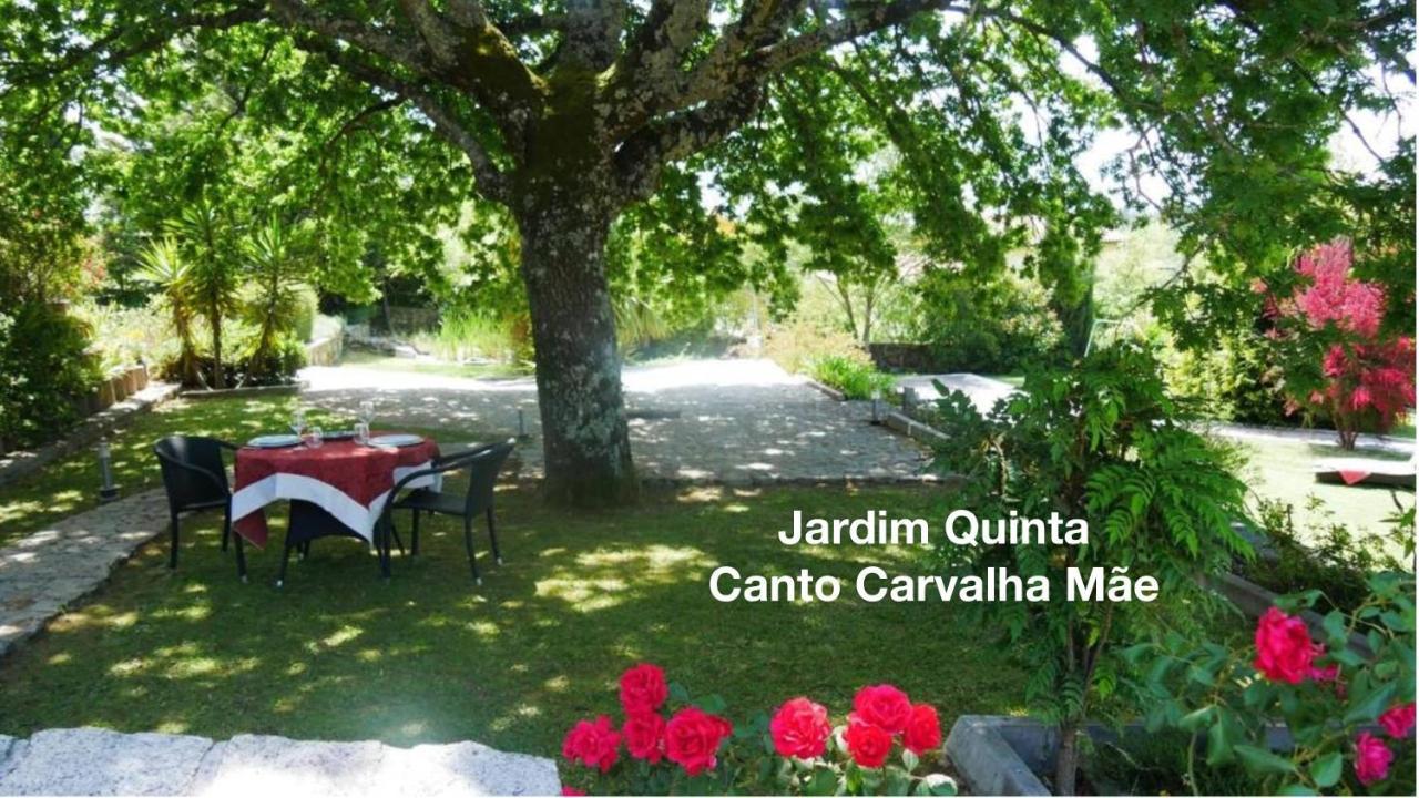 דירות ויסאו Quinta Monteluz מראה חיצוני תמונה